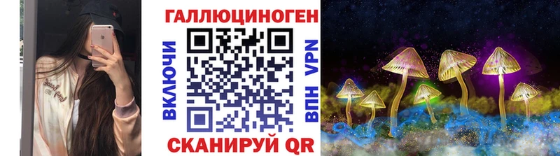 Галлюциногенные грибы Psilocybe Ковдор